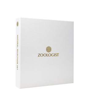 Natural Selection Set P